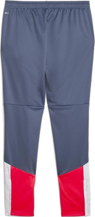 Actual product image Puma individualCUP Training Pants (M)