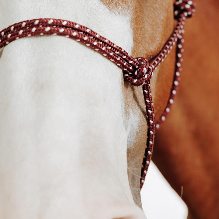 Immagine prodotto Caperlan Knotenhalfter Natural Horsemanship Pferd/Pony bordeaux