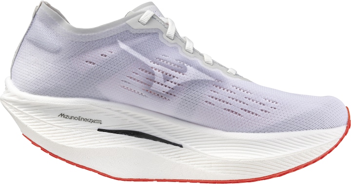 Actual product image Mizuno Wave Rebellion Pro 2 (40.5)
