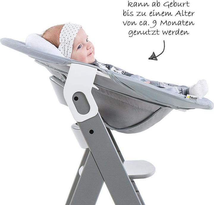 Produktbild Hauck Alpha Bouncer 2in1 stretch grey