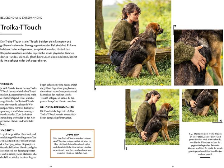 Produktbild Kosmos Tellington-Training für Hunde (Deutsch, Linda Tellington-Jones, 2024)