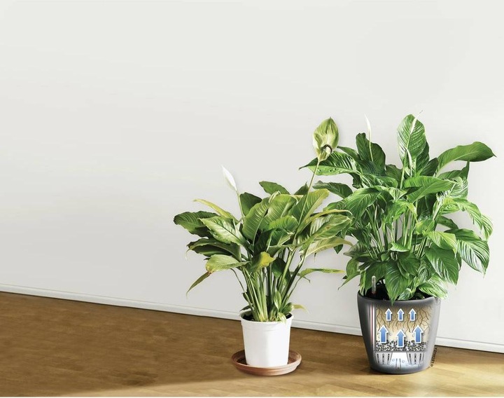 Actual product image Lechuza Classico (28.50 cm)