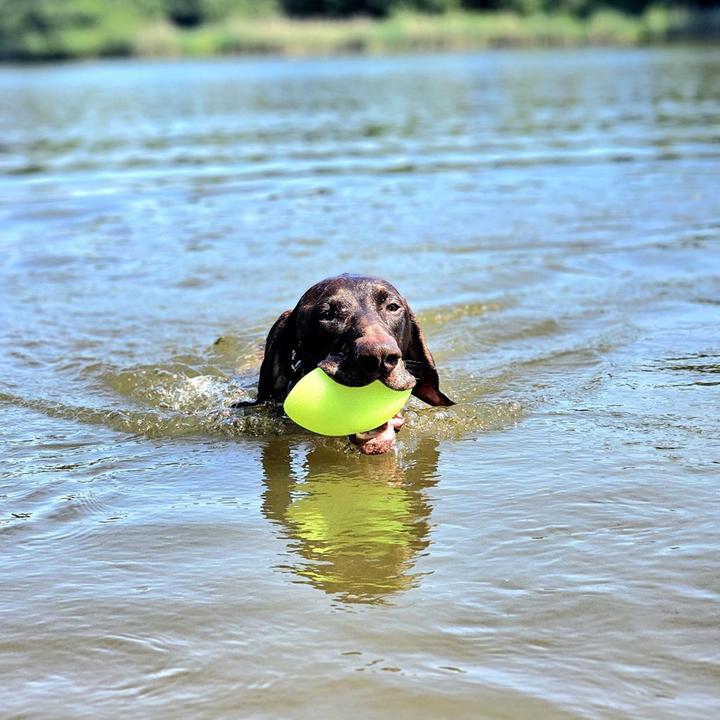 Actual product image Red Dingo Gone Dog toy - Play & Glow 14x8cm football (Ball toy dog)
