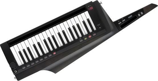 Actual product image Korg RK-100S 2 BLACK