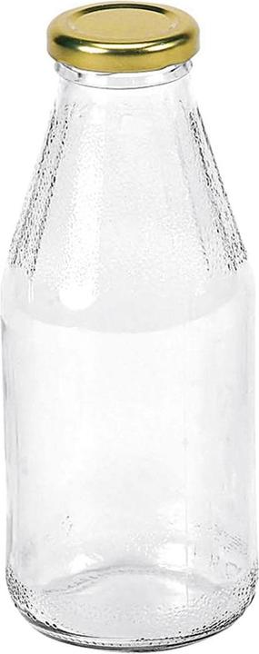 Produktbild Deti Saftflasche mit Deckel (1 Stk., 0.50 l)