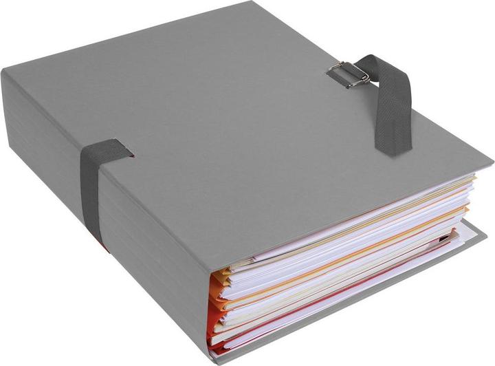 Actual product image Exacompta Document folders - cardboard (A4, 1x)