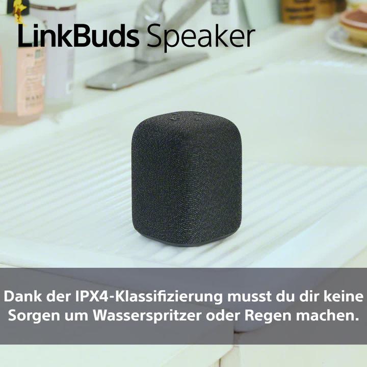 Productafbeelding Sony SRS-LS1 (25 h, Oplaadbare batterij)