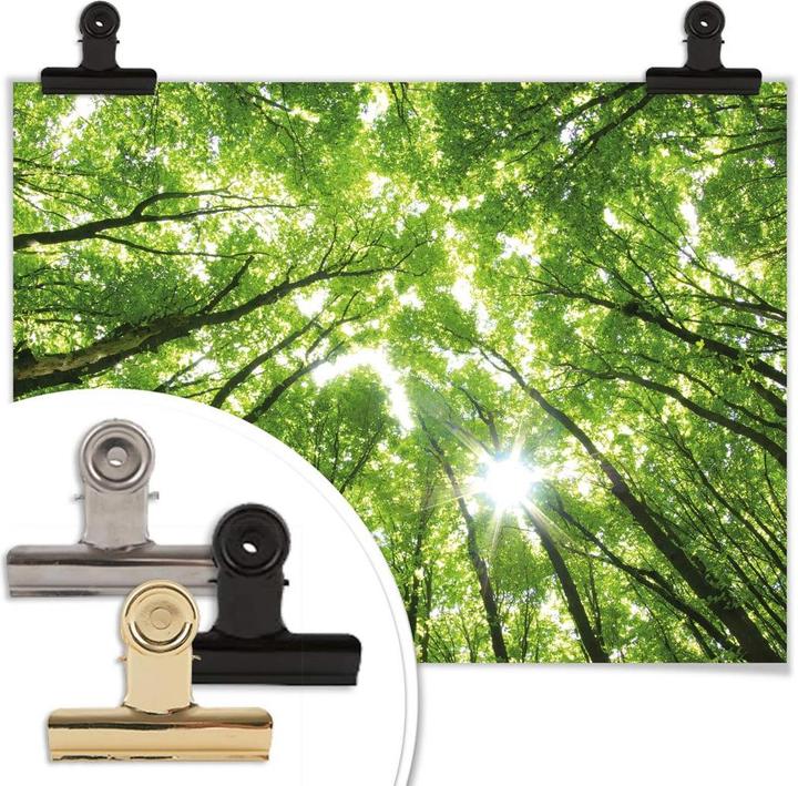 Produktbild Trenddeko Sunny Forest 2 (60 x 50 cm)