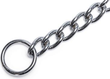Actual product image Beeztees BZ CHROME CHAIN COLLAR 4.0X80 (40, Dog, Dog sport)