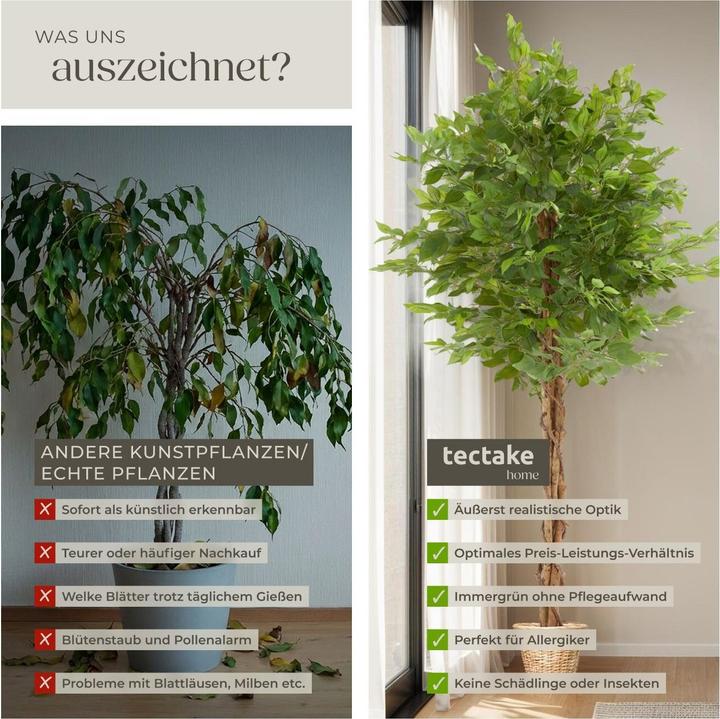 Immagine prodotto tectake Ficusbaum Fida (180 cm)
