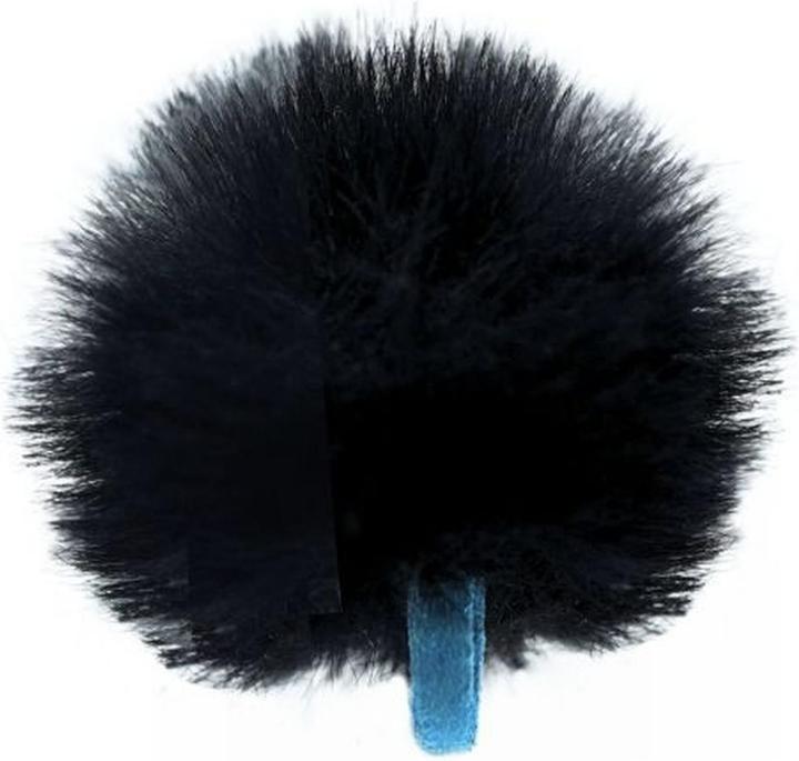 Image du produit Radius Mini Urchin LAV Windshield Black (Single) (Mousse)