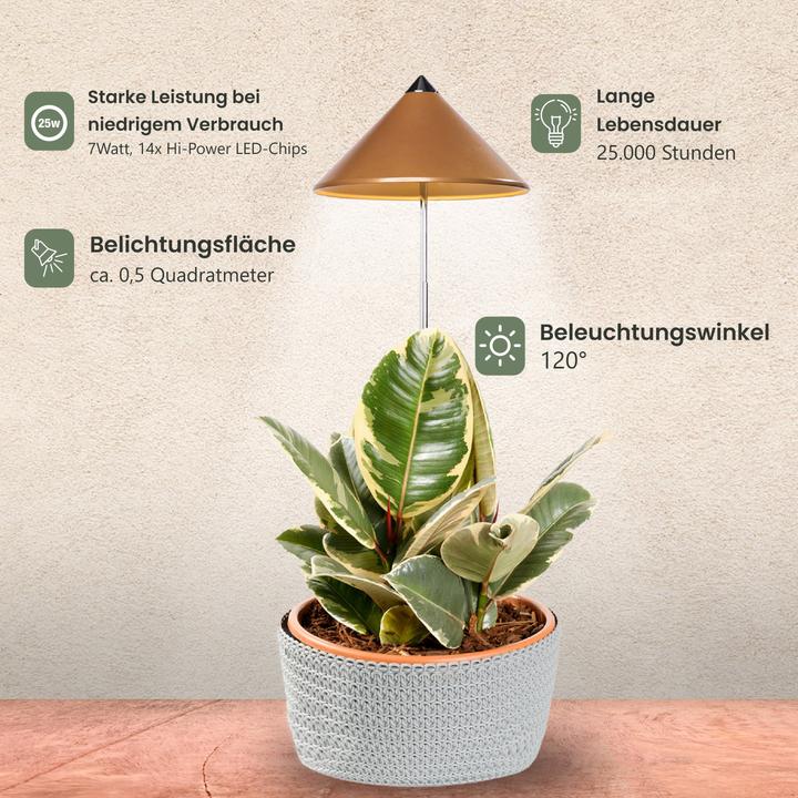 Actual product image Colibri Sunlite (LED, 230 V)