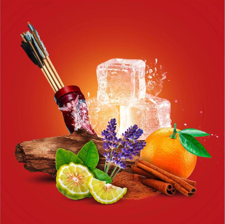 Productafbeelding Old Spice Origineel (250 ml)