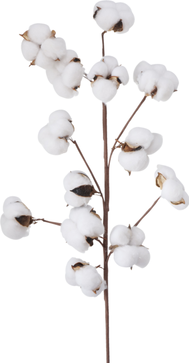 Produktbild Boltze Home Baumwolle (68 cm)