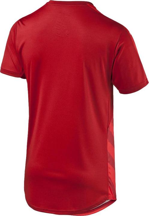 Image du produit Puma République Tchèque Home Replica (L)