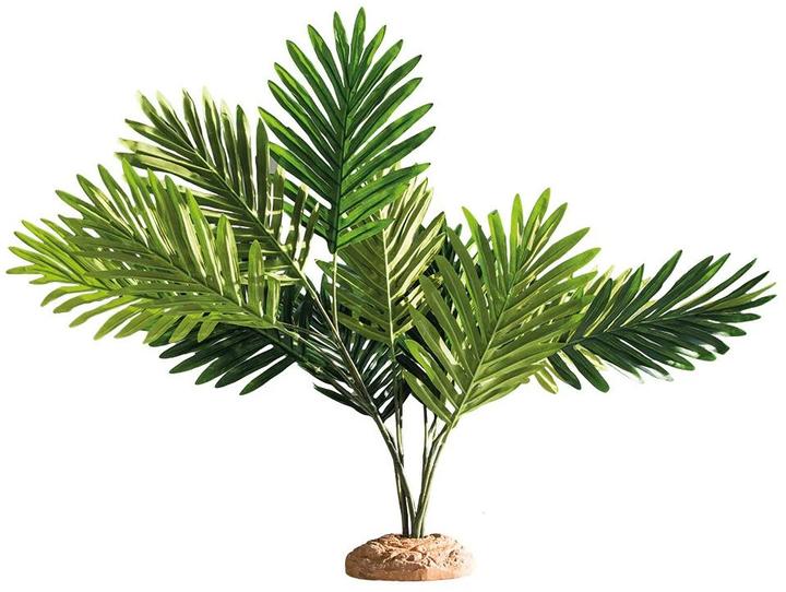Produktbild Hobby Regenwaldpflanze Palm, 60 x 40 x 55 cm