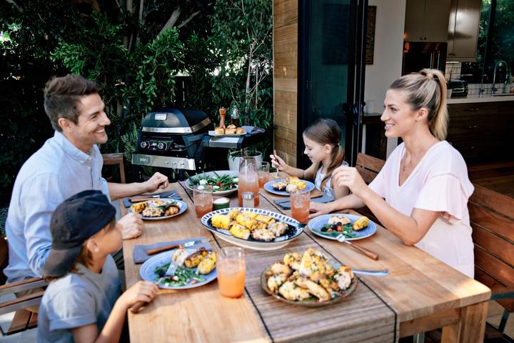 Image du produit Weber Pulse 2000 avec support (2.20 kW)