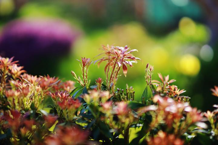 Actual product image Samyang 85mm f/1.4 MK2 Sony E-Mount (Sony E, full size)