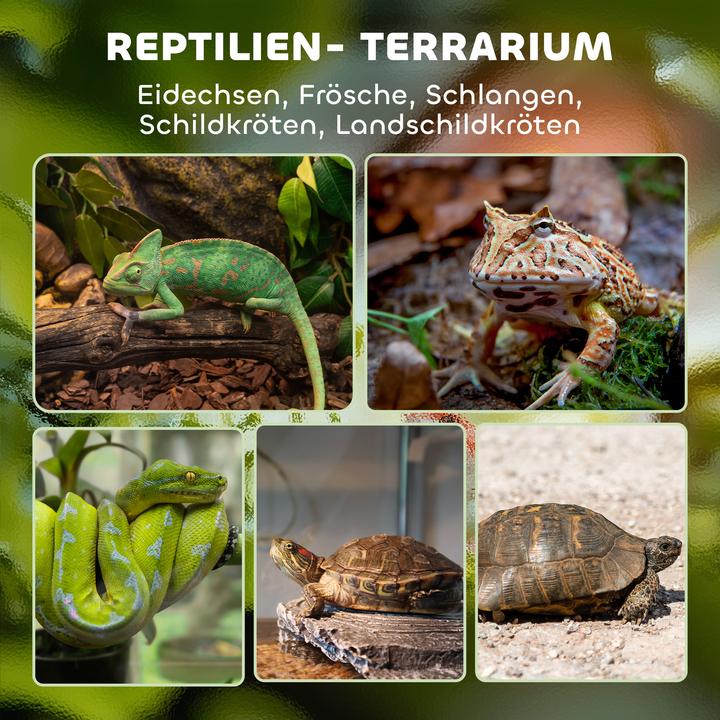 Image du produit PawHut Terrarium Hartglas, Stahl Schwarz