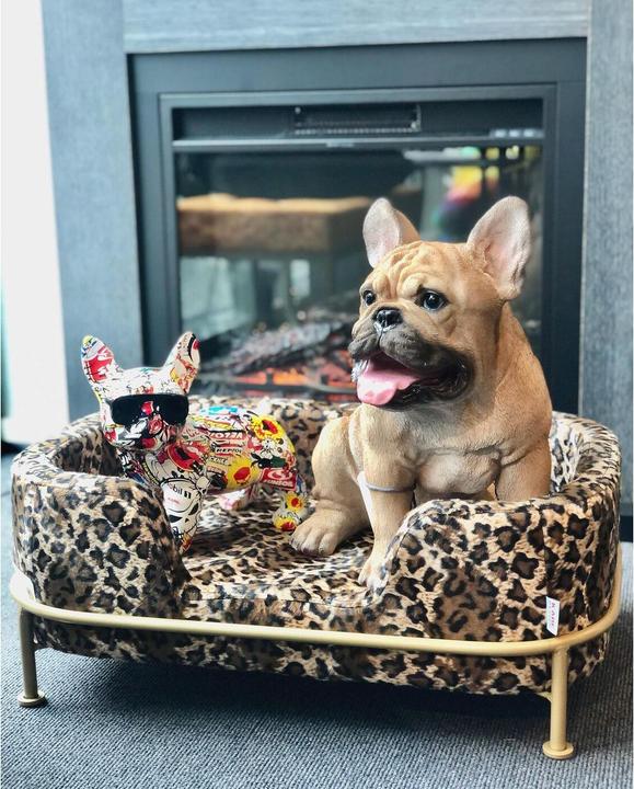 Immagine prodotto Kare Design Letto per cani e gatti Diva Leo (Gatto, Cane)