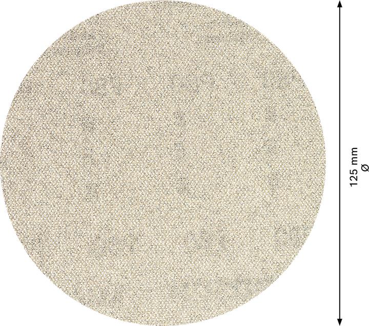 Produktbild Bosch Professional Zubehör EXPERT M480 Schleifnetz für Exzenterschleifer, 125 mm, G 80, 50 Stück (80)