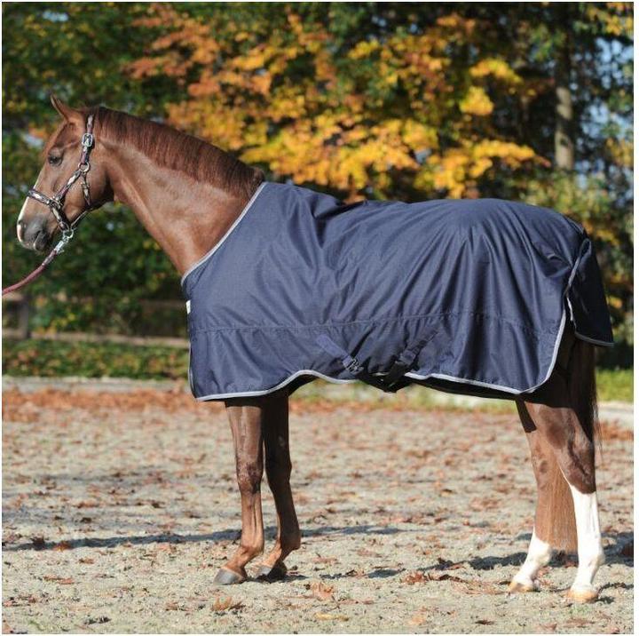 Produktbild Kavalkade Winnipeg 200 g (155 cm)