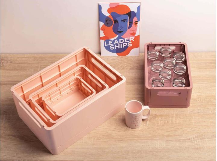 Image du produit Exacompta Boîte pliable The Smart Case midi Skandi - Nude (19 cm, 1.44 l, 1x)