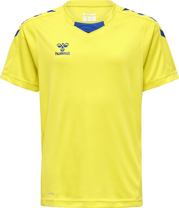 blazingyellowtrueblue