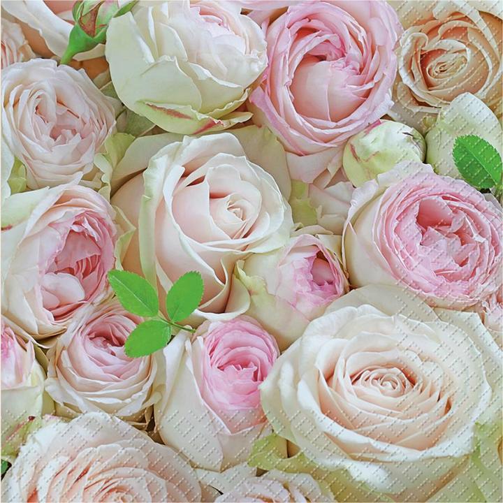 Rosa