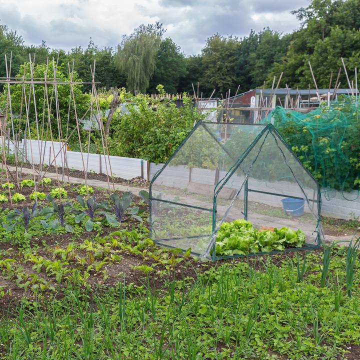Produktbild Relaxdays Folienfrühbeet