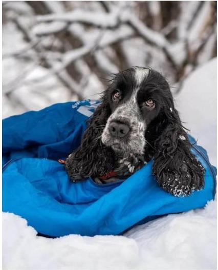 Immagine prodotto Non-Stop Dogwear Ly Sacco a pelo per cani (L, Cappotto per cani)