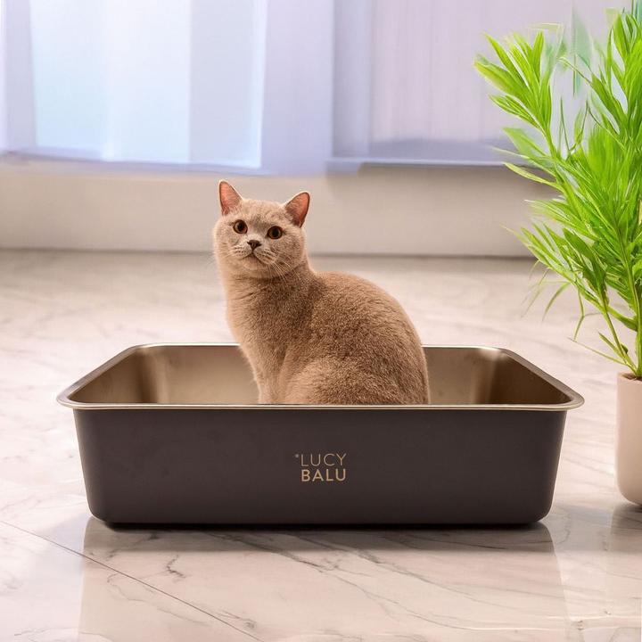Produktbild LucyBalu Steeloo (Katzenklo offen)
