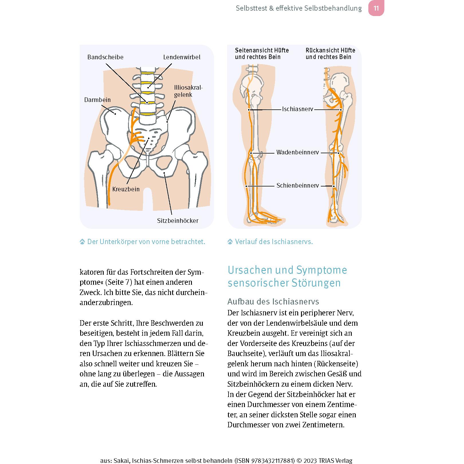 Thumbnail - Ischias-Schmerzen selbst behandeln, Ratgeber von Shintaro Sakai, Birgit Quitterer