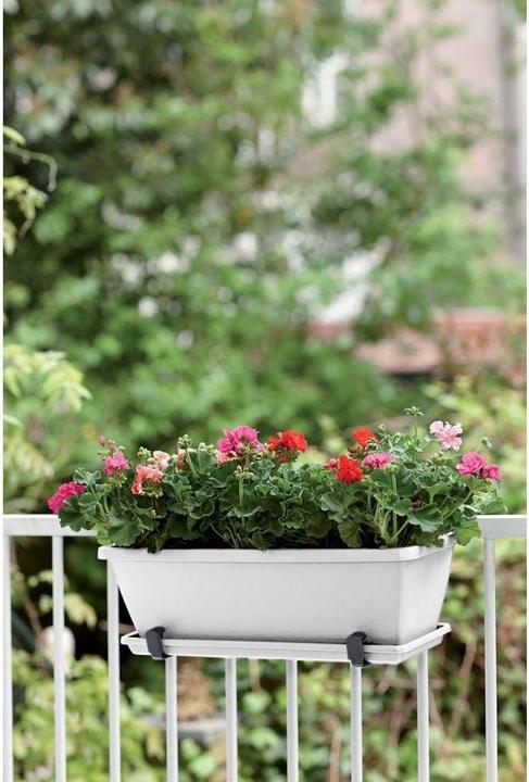 Actual product image Elho Barcelona