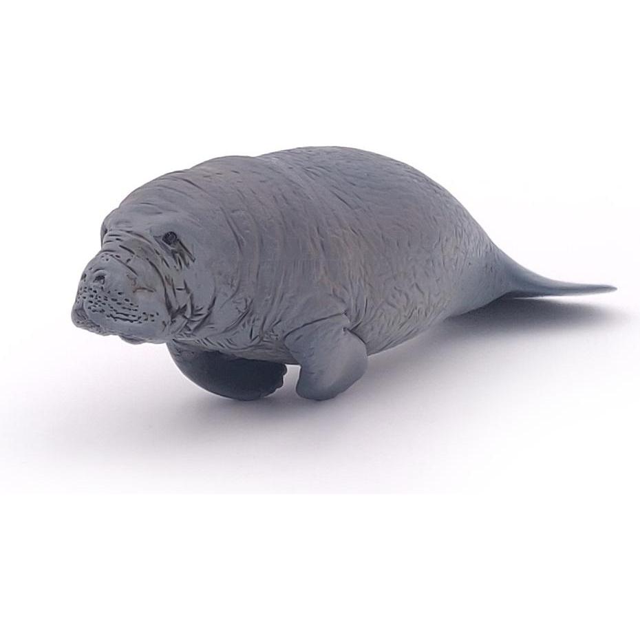 Thumbnail - Papo Manati