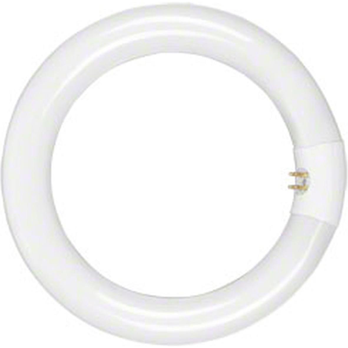 Walimex pro Pro Beauty (Ringleuchte), Dauerlicht, Schwarz