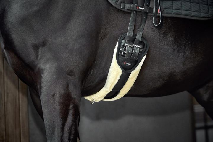 Produktbild Catago Sattelgurt