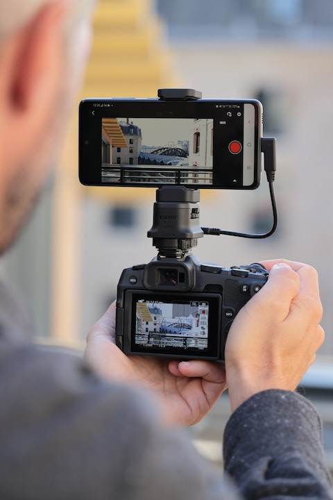 Actual product image Canon EOS R8 Kit - (EU) (24 - 50 mm, 24.20 Mpx, Full frame)