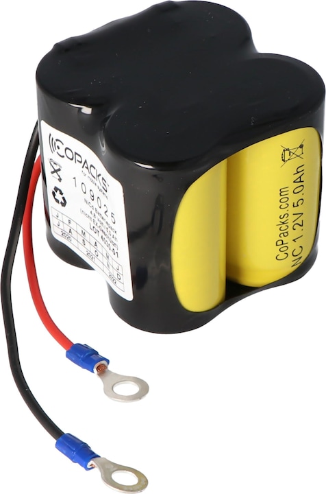Produktbild AccuCell Akku Ceag CW270