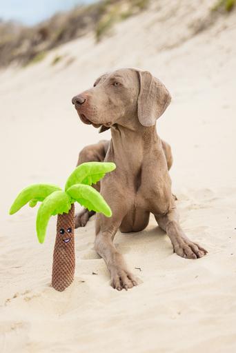 Immagine prodotto Beeztees Palma (Cane di peluche)