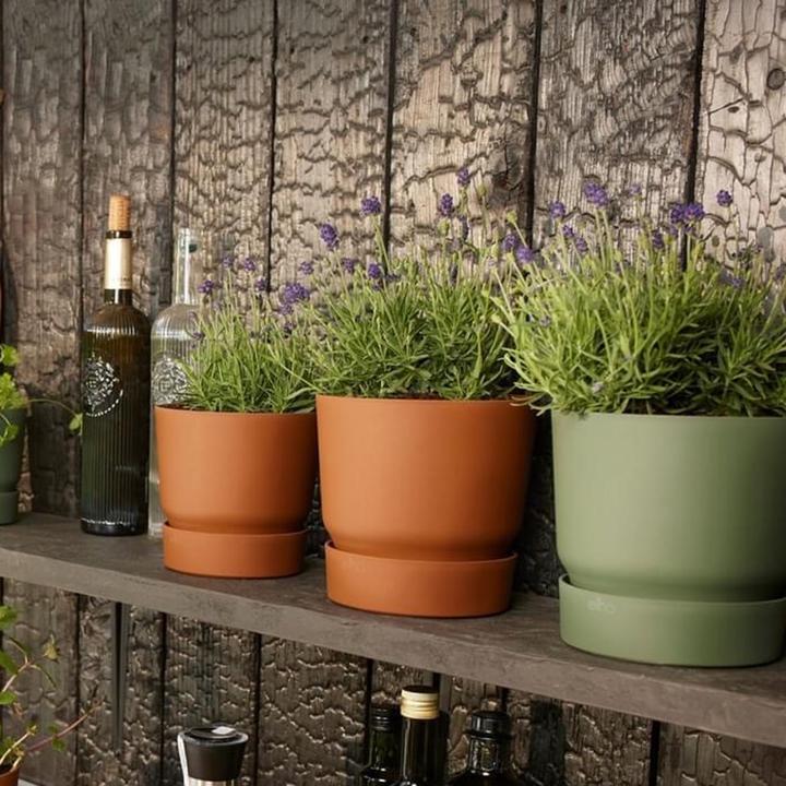 Actual product image Elho flowerpots (29.50 x 27.80 cm)