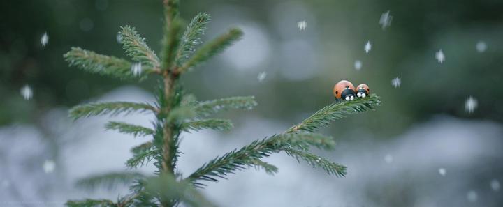 Image du produit Minuscule - Abenteuer In Der Karibik (DVD, 2019, Allemand)