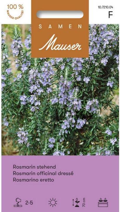 Produktbild Samen Mauser Rosmarin stehend (Kräutersamen)