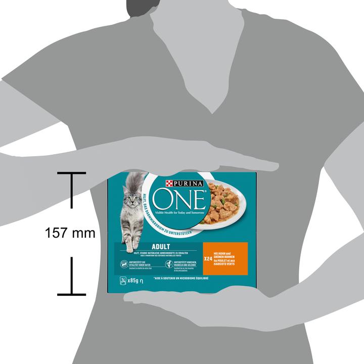 Actual product image Purina ONE Piece of chicken (Adult, 24 pcs., 2040 g)