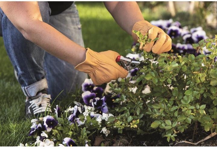Image du produit Felco 703L Gants de jardinage en cuir véritable, taille L (L)