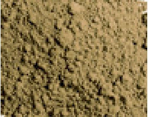 Produktbild Vallejo Pigmente (35 ml)