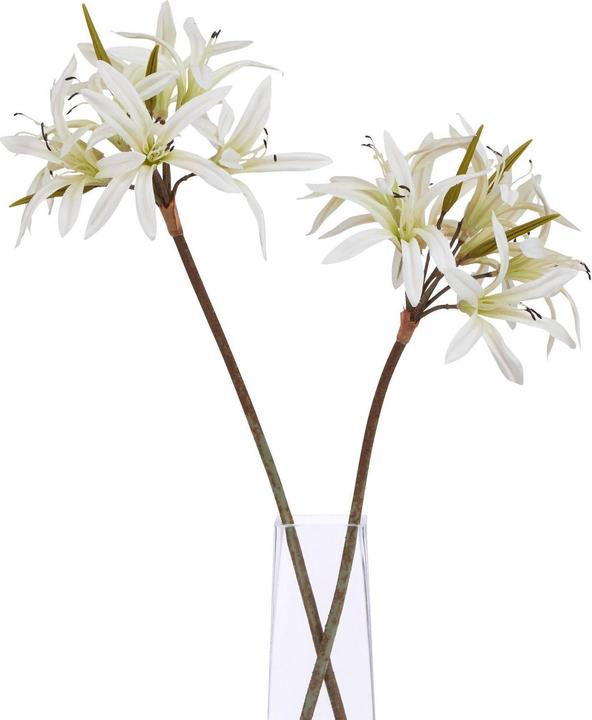 Immagine prodotto Hill Interiors Kunstblume (61 cm)