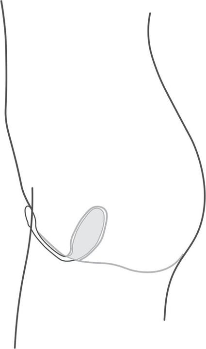 Produktbild We-Vibe Jive