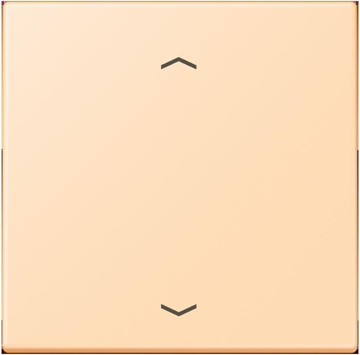 Produktbild JUNG Wippe 1fach m. Pfeilsymb.