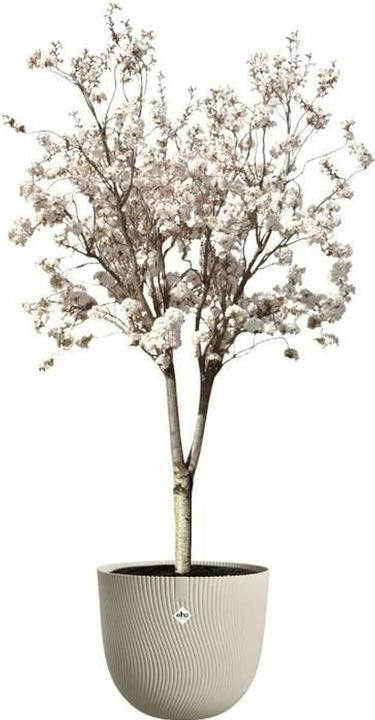 Immagine prodotto Elho Sereh rotondo (47 cm)